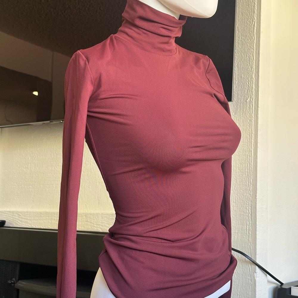 Aritzia Burgundy Long Sleeve Turtleneck